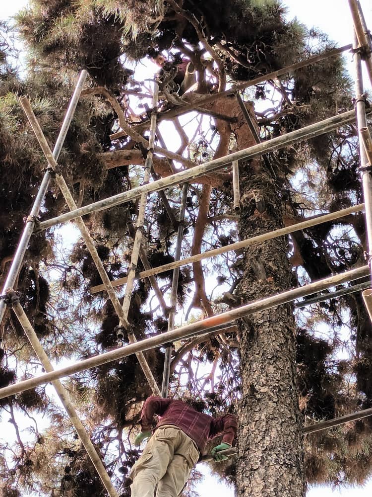 Scaffolding نصب داربست در باقرشهر