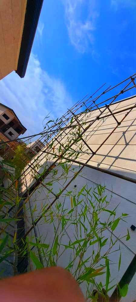 Scaffolding نصب داربست در گیشا